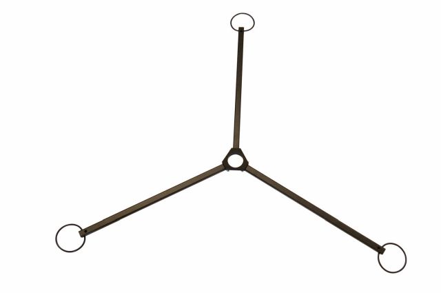 Statiefster